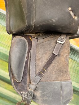 Wintec Isabell Werth New - 6