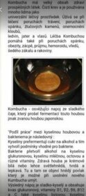 Houba Kombucha, násada - 6