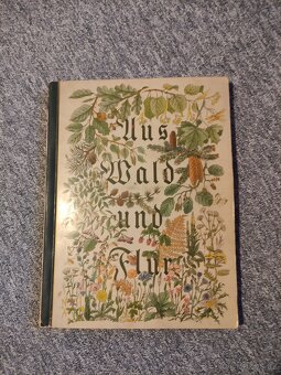 Staré německé knihy - 6