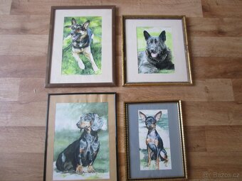 buldoček-olejomalba - 6