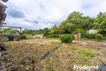 Prodej rodinné domy, 100 m2 - Dyje, ev.č. 100068 - 6