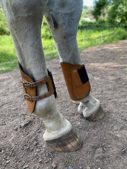 Ohlávky cob,pony, zadní chrániče, zvony - 6