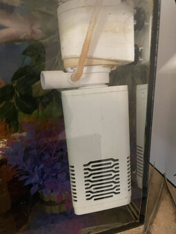 Prodám kompletní akvárium - 100l 4 axolotly + výbava - 6
