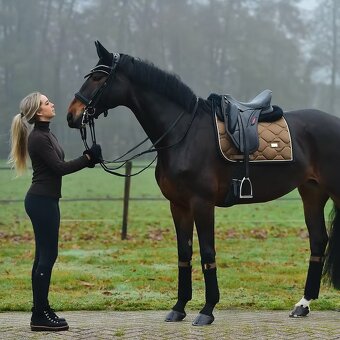Equestrian Stockholm Golden Brass DL a COB - 6