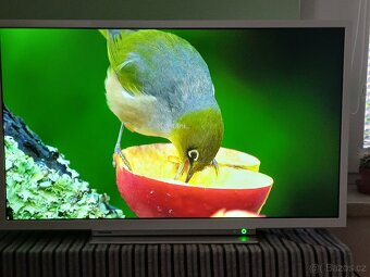 Smart TV TOSHIBA 32W3864DA - úhlopříčka 80cm - 6