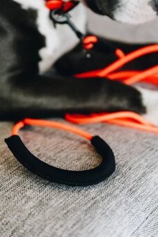 Kentucky - Gumový obojek XL + stopovačka 5 m - neon orange - 6