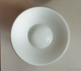 SECESNÍ LUSTR STROPNICE - 6