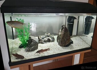 Akvárium set 54 l Cat-Gato set + akvarijní stolek - 6
