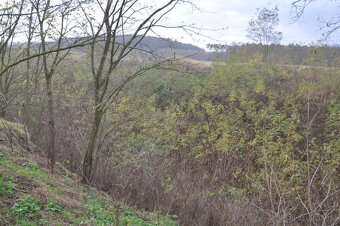 Zahrada, rokle, pozemek k rekeraci,10.731m2, Bechlín u RCE - 6