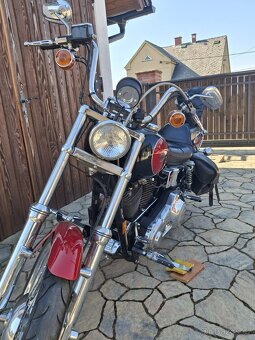 Harley-Davidson FXDWG 1HD1GEL - 6