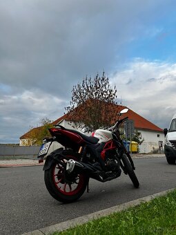 UM Xtreet 125 - 6