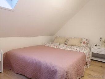 Pronájem bytu 1+1, 50 m² - 6