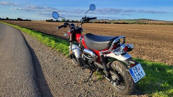 Honda Dax 125 - 6