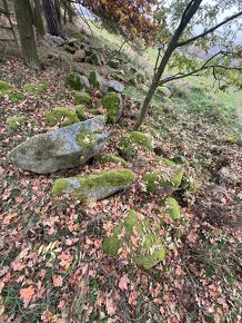 přírodní kameny, částečně porostlé mechem - 6