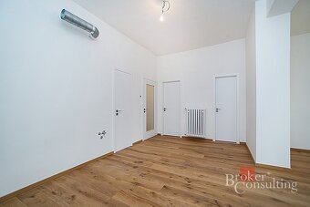 Podnájem, komerční/kanceláře, 110 m2, Jičínská 2348/10, Vino - 6