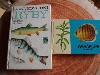 knihy o zvířatech,pavouci,ryby,užovka,holubi,králíci,brouci - 6