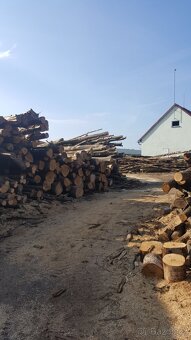 Nabízíme NEJLEVŇĚJŠÍ ŠTÍPANÉ PALIVOVÉ DŘEVO, 950 Kč/SPRM - 6