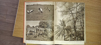 knihy Zikmund a Hanzelka - 6