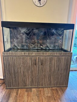 Akvarium Juwel Rio 240 komplet vc. skrinky a externiho filtr - 6