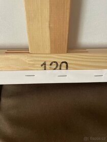 Obraz na plátně 100 $ - 6