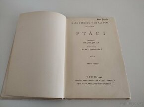 Ptáci - 6