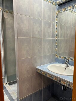 Pronájem bytu 1+kk 50 m² (Jednopodlažní) - 6