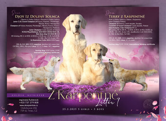 Moonbarks - Designová grafika pro chovatele - od r. 2009 - 6