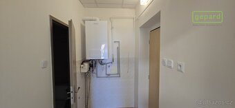 Zděný byt se sklepem a podílem na pozemku - Jírovcova ulice - 6