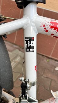 Dětské horské kolo Superior paint xc24 - 6