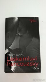 Láska mluví francouzsky, Deníky Carrie B., Ztráty a nálezy - 6