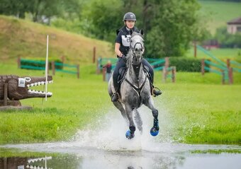 Klisna do sportu - 6