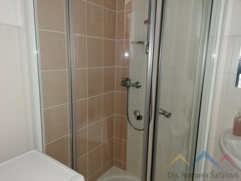 Pronájem bytu 2+1, Břidličná - 6