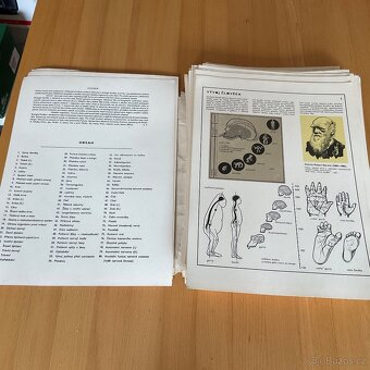 Retro- Biologie člověka v obrazech- A4 - 6