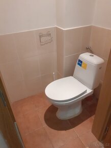 Pronájem nebytového prostoru 1+1 Uh.Hradiště - 6