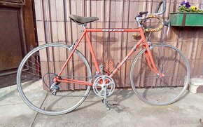 PÁNSKÉ RETRO KOLO - 6