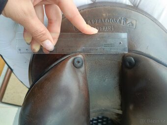 Prestige Hippos 17,5 /2 - 6