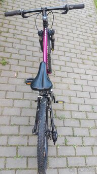 Specialized-hotrock-24-xc-girl- divci kolo - 6