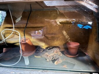 Terárium pro suchozemské plazy - 6