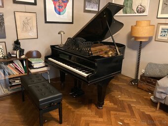 křídlo klavír Petrov grand piano - 6