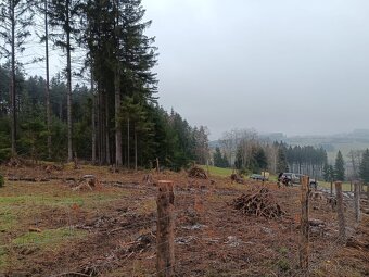 Prodej lesa na Šumavě - 6