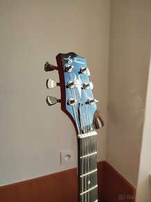 Elektrická kytara Jay Turser JT-50 - 6