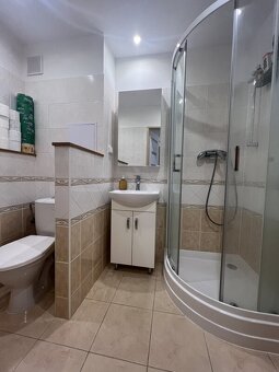 Pronájem 1+kk, rekonstrukce, balkon, zařízený, Hradec Králov - 6
