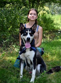 ARES K ADOPCI - přátelský mazel - 6