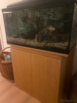 Akvarijni set vc. prisl., rybicek a skrinky pod akvarium - 6