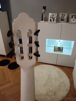 Kytara bílí lesk - 6
