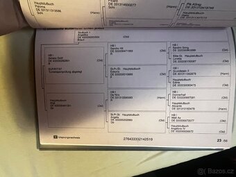 Oldenburský valach - 6