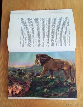 Josef Augusta, Zdeněk Burian - 6