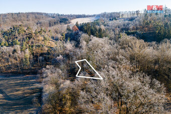 Prodej lesa, 685 m², Horšovský Týn - 6