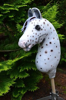 Prodám hobby horse - 6