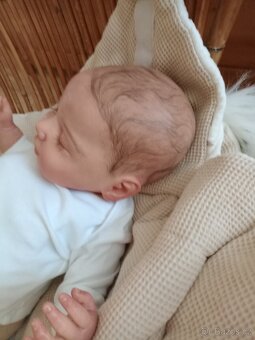 Reborn Valentina - 6